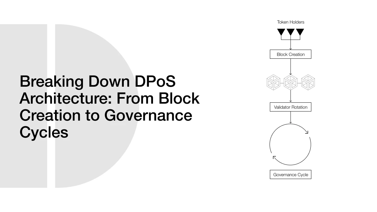 Breaking Down DPoS Architecture: From Block Creation to Governance Cycles