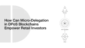 How Can Micro-Delegation in DPoS Blockchains Empower Retail Investors