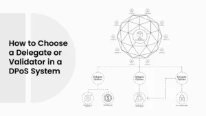 How to Choose the Right Delegate or Validator in a DPoS System