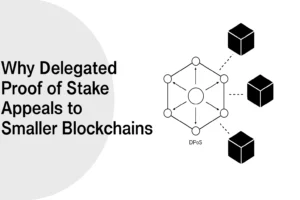 Why Delegated Proof of Stake (DPoS) Appeals to Smaller Blockchains