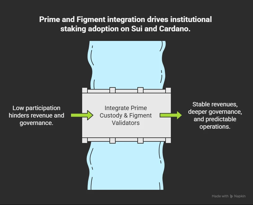 Coinbase and Figment Bring Institutional Staking to Sui and Cardano Amid $2B+ Delegations